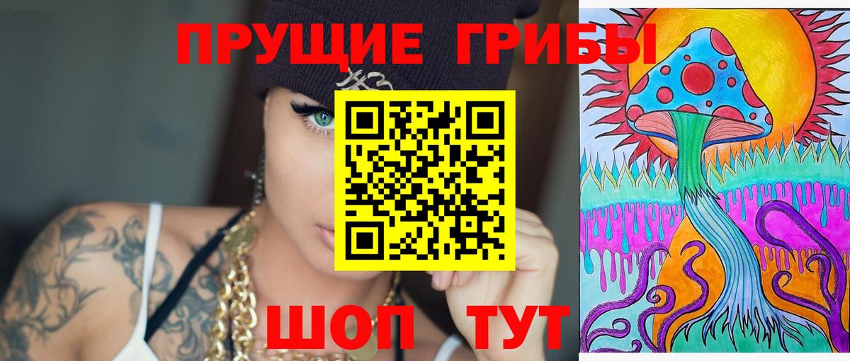 Сыктывкар  Галлюциногенные грибы MAGIC MUSHROOMS  Псилоцибиновые грибы Psilocybe  Вход с VPN 